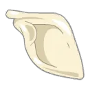 Scapula du Comte Harebourg