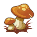 Champignon du Midi Layonnant