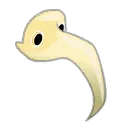 Masque de la Vivacité