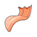 Langue de Truchmuche