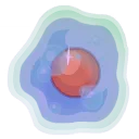 Kroboplasme de Tabacille