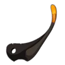 Oreille de Griffotep