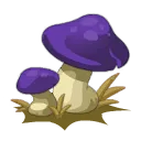 Agrypnite Tue-sommeil Grillée