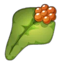 Feuille de salsepareille enchantée