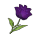 Fleur de Rose Artempeth