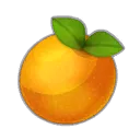 Orange amère