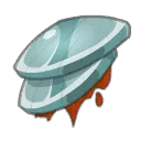 Viande de Caïguille