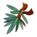 Branche entourée d'un ruban