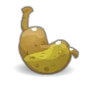 Estomac de Ouassingue