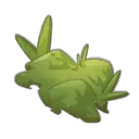 Mousse de Caméliache