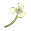 Fleur des protecteurs