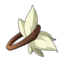 Élastique de barbe de Sanglirok