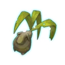 Mandragore enchantée