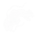 Akènes à tout vent