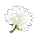 Fleur de Pissenlit Diabolique