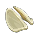 Cartilage de Quadrabz