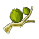 Bourgeon d'Abraknyde Ancestral